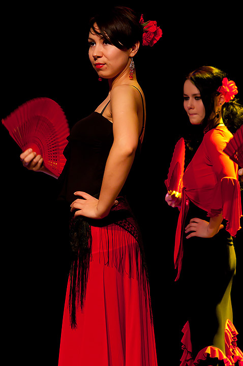 Gala Teatru Tańca "Nie Tylko Flamenco" - Zdjęcie 4 z 37